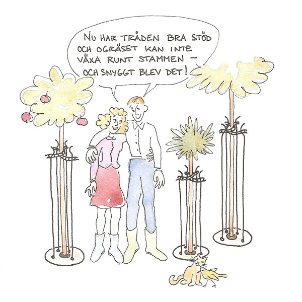 trädskola6.jpg